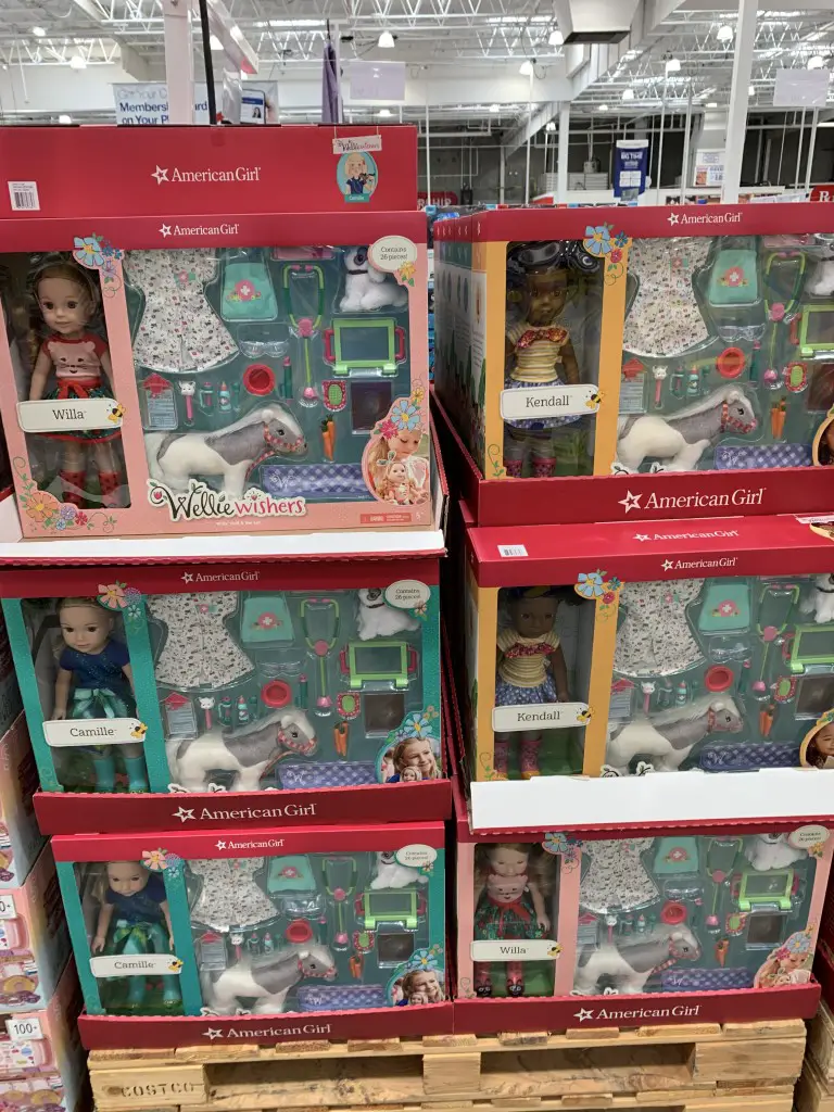 american girl vet set
